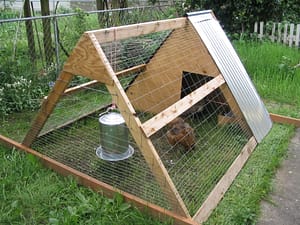 chicken coop design